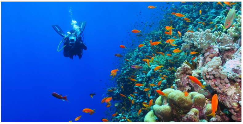 Apa Arti Reef-Friendly Sunscreen?